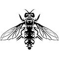 Hand drawn sketch of fly Black and white Tattoo Royalty Free Stock Photo