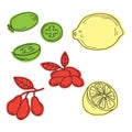 Hand drawn sketch fruits - pineapple guava, lime. dogwood berrie