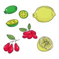 Hand drawn sketch fruits - pineapple guava, lime. dogwood berrie