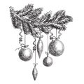 Hand drawn sketch Fur tree branch with New Year and Christmas decorations. design elements