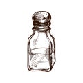 Hand-drawn sketch of glass salt shaker with metal lid. Vintage drawing of salt shaker.