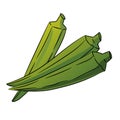 Okra, Ladys Finger Cartoon - Vector Illustration