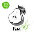 Hand drawn sketch half cut of pear with leaf poster. Vitamin and healthy fruit vector