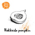 Hand drawn sketch half of hokkaido pumpkin. Kuri with seeds and slice. Autumn fruit. Seasonal symbol. Healthy nutrition vector ill