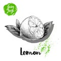 Hand drawn sketch half lemon with leaves poster. Vitamin and healthy tropic fruit