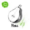 Hand drawn sketch half of pear with little seeds poster. Vitamin and healthy fruit vector