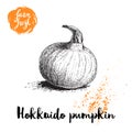 Hand drawn sketch hokkaido pumpkin. Healthy nutrition vector illustration poster.