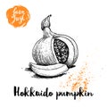 Hand drawn sketch hokkaido pumpkin. Kuri with seeds and slice. Healthy nutrition vector illustration poster.