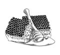 Hand drawn sketch of honeycomb with wooden dipper in black isolated on white background. Detailed vintage etching style drawing. Royalty Free Stock Photo