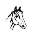 Hand drawn sketch of horse head. Black line drawing isolated on white background. Mustang portrait. Vector animal illustration. Royalty Free Stock Photo