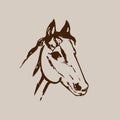 Hand drawn sketch of horse head. Brown ink line drawing isolated on beige background. Mustang portrait. Vector animal illustration Royalty Free Stock Photo