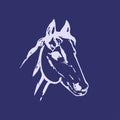 Hand drawn sketch of horse head. Lline drawing. Blue colors. Mustang portrait. Vector animal illustration. Royalty Free Stock Photo