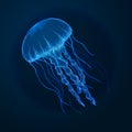 Hand drawn sketch isolated jellyfish, marine animals