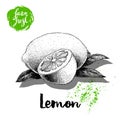 Hand drawn sketch lemon with leaves and half lemon sticker poster. Vitamin and healthy tropic fruit