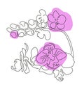Hand drawn sketch line orchids flower in one line and spot