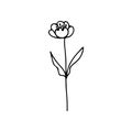 Hand drawn and sketch lotus flower isolate on white background. A flower similar to a water lily on a stem with leaves. Botanical