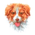 Hand drawn sketch markers illustration of australian shepherd puppy.