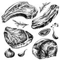 Hand drawn sketch meat set. detailed ink food illustration