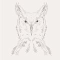 Hand drawn sketch owl illustration