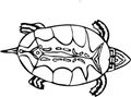 Hand drawn sketch of painted turtle