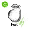 Hand drawn sketch pear with leaf sticker poster. Vitamin and healthy fruit vector Royalty Free Stock Photo