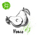 Hand drawn sketch pears composition. Group of whole and half fruits. Vitamin and healthy food vector Royalty Free Stock Photo