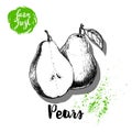 Hand drawn sketch pears composition. Group of whole and half fruits. Vitamin and healthy food vector