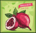 Hand drawn sketch pomegranate.