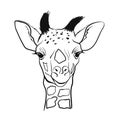 Hand drawn sketch portrait of cute Giraffe. Vector illustration isolated on white.