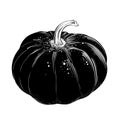 Hand drawn sketch of pumpkin in black isolated on white background. Detailed vintage style drawing, for posters