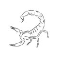 Hand drawn sketch of scorpion. Retro realistic animal isolated. Vintage tattoo. Doodle line graphic design. Scorpion, vector Royalty Free Stock Photo