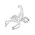 Hand drawn sketch of scorpion. Retro realistic animal isolated. Vintage tattoo. Doodle line graphic design. Scorpion, vector Royalty Free Stock Photo