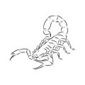 Hand drawn sketch of scorpion. Retro realistic animal isolated. Vintage tattoo. Doodle line graphic design. Scorpion, vector Royalty Free Stock Photo