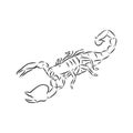 Hand drawn sketch of scorpion. Retro realistic animal isolated. Vintage tattoo. Doodle line graphic design. Scorpion, vector Royalty Free Stock Photo