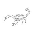 Hand drawn sketch of scorpion. Retro realistic animal isolated. Vintage tattoo. Doodle line graphic design. Scorpion, vector Royalty Free Stock Photo