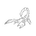 Hand drawn sketch of scorpion. Retro realistic animal isolated. Vintage tattoo. Doodle line graphic design. Scorpion, vector Royalty Free Stock Photo