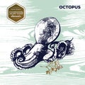 Hand drawn sketch seafood of octopus.