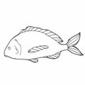 Hand drawn sketch seafood vector black and white vintage illustration of salmon fish. Isolated object on white background. Menu Royalty Free Stock Photo