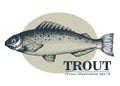 Hand drawn sketch seafood vector vintage illustration of trout fish. Can be use for menu or packaging design. Engraved