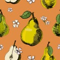 Hand drawn sketch seamless pattern of pears.Vintage ink vector of different pears and flowers of pear on orange Royalty Free Stock Photo