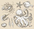 Hand drawn sketch set sea animals, seafood. Vector illustration