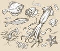 Hand drawn sketch set seafood,underwater world. Vector illustration