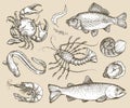 Hand drawn sketch set seafood. Vector illustration