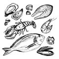 Hand drawn sketch set of seafood. Vector illustration