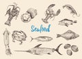 Hand drawn sketch set of seafood