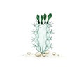Hand Drawn Sketch of Stenocereus Cactus Plant