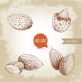 Hand drawn sketch style almond set. Single, group seeds and almond in nutshell. Organic food vector illustrations Royalty Free Stock Photo