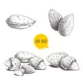 Hand drawn sketch style almond set. Single, group seeds and almond in nutshells group. Organic food, vector illustrations collecti Royalty Free Stock Photo