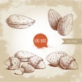 Hand drawn sketch style almond set. Single, group seeds and almond in nutshells group. Organic food vector illustrations Royalty Free Stock Photo