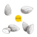 Hand drawn sketch style almond set. Single, group seeds. Organic food vector illustration Royalty Free Stock Photo